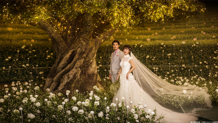 澳洲世紀宮殿內景照片-澳洲世紀宮殿內景圖片-澳洲世紀宮殿內景