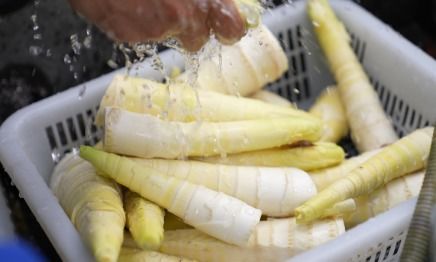 幫父親線上賣筍，92年小伙半年營業額破千萬