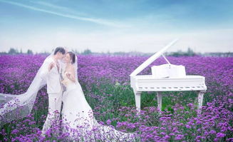 海口薇薇新娘婚紗客片鑒賞 萬花叢中只愛你